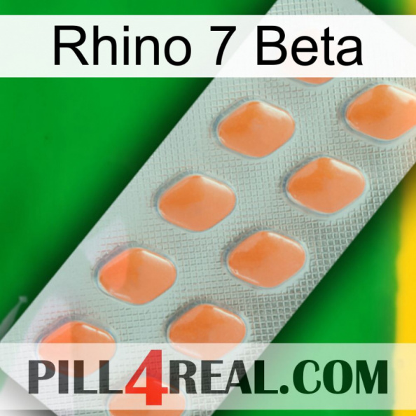 Rhino 7 Beta 26.jpg